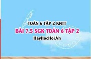 Bài 7.5 SGK Toán 6 tập 2 Kết nối tri thức